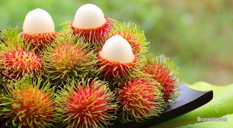 Rambutan - image 2