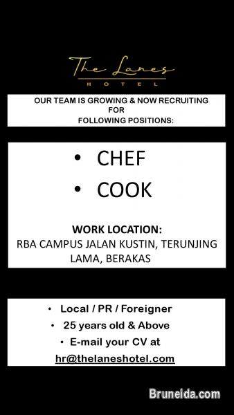 Pictures of CHEF / COOK