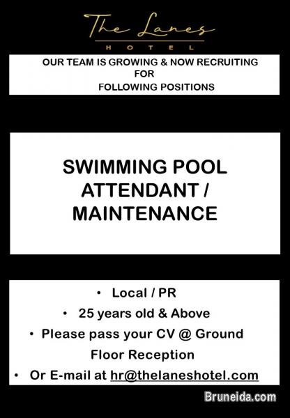 SWIMMING POOL ATTENDANT CUM MAINTENANCE - image 1