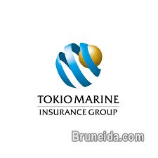 Management Trainee - image 1
