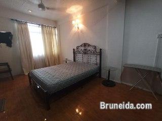 Fully furnished terrace house for rent at Chempaka $750 - image 4