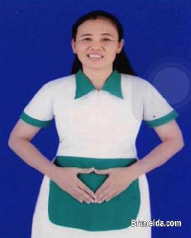 T. S. King Employment Agency (Maid/Amah, Nanny, Driver, etc) - image 4