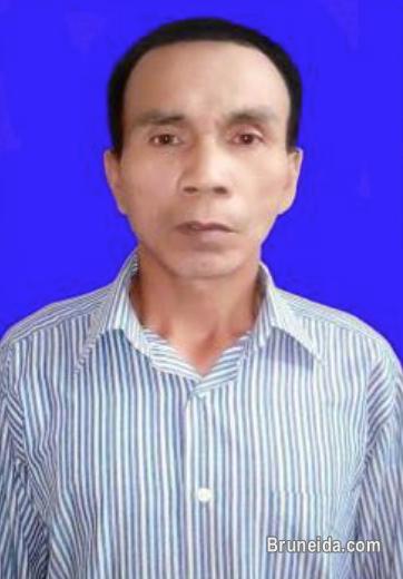 T. S. King Employment Agency (Maid/Amah, Nanny, Driver, etc) - image 6