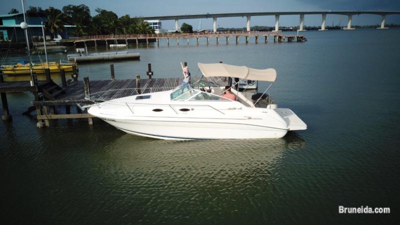 Searay 240 Sundancer - image 10