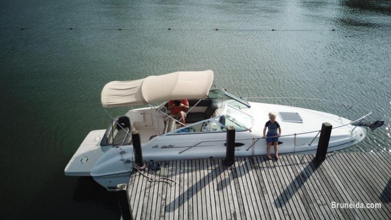 Searay 240 Sundancer - image 11