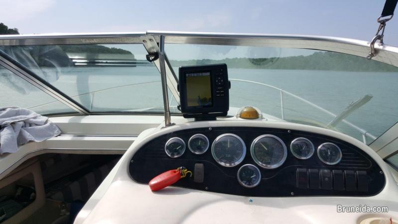 Searay 240 Sundancer - image 5