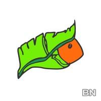 Urgent Hiring (Ya-Nur Trading Company) - image 1