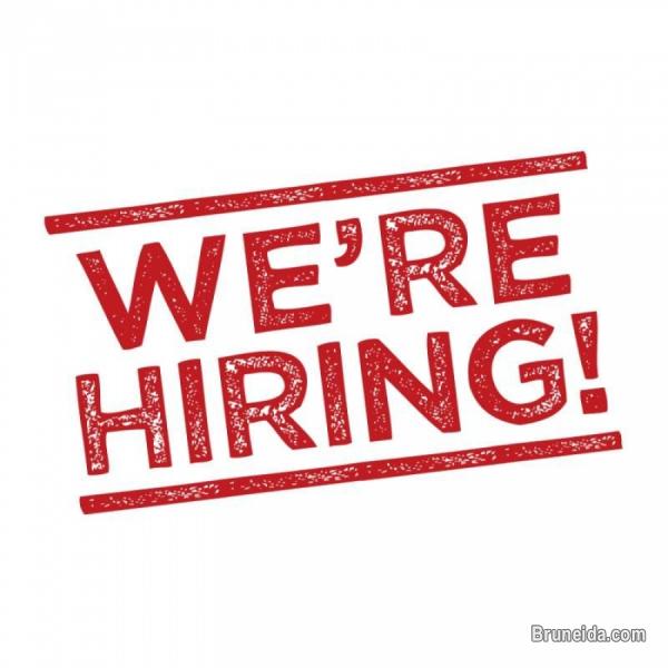 Sale Assistant - image 1