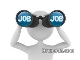 Admin Assistant ( Cashier) - image 1