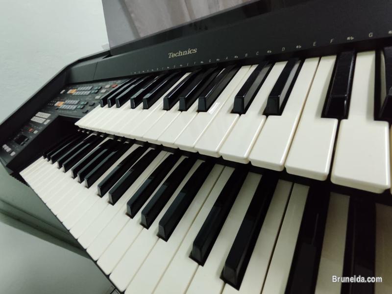 Organ to Let Go - image 1