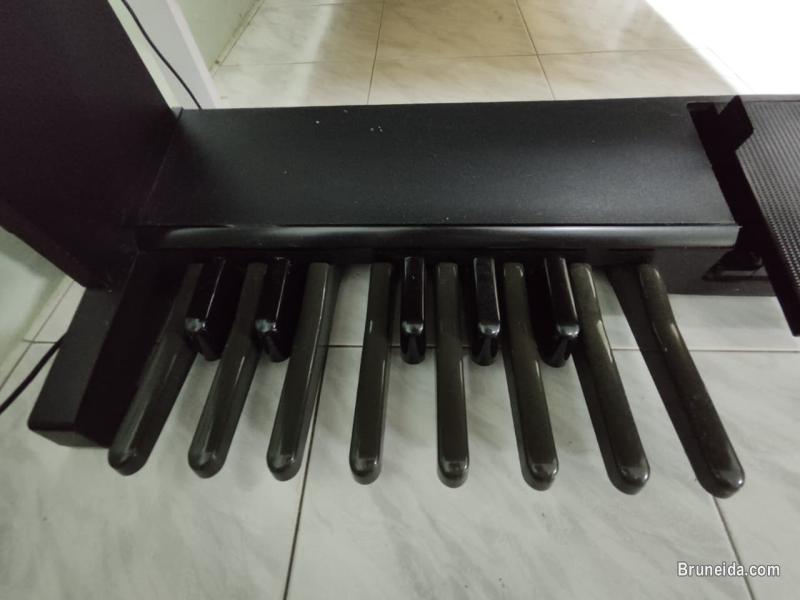 Organ to Let Go - image 4