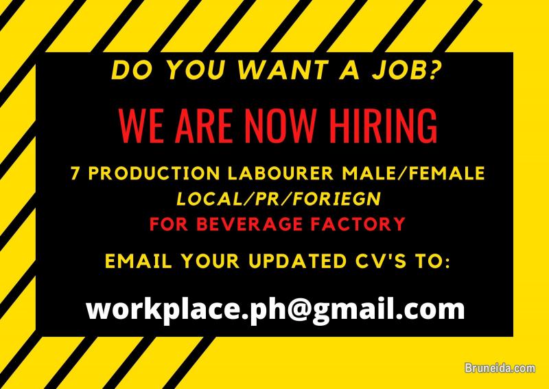 PRODUCTION LABOURER/LOGISTIC HELPER/FORKLIFT DRIVER/CLASS 4-5 DR - image 3