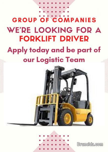 Picture of FORKLIFT DRIVER