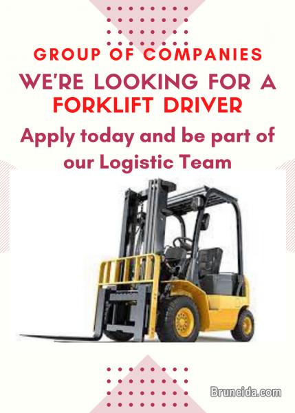 FORKLIFT DRIVER - image 1