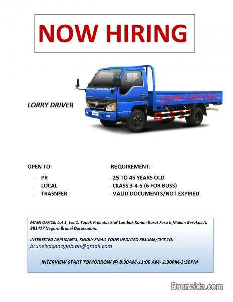 LORRY DRIVER (4-5) - image 1