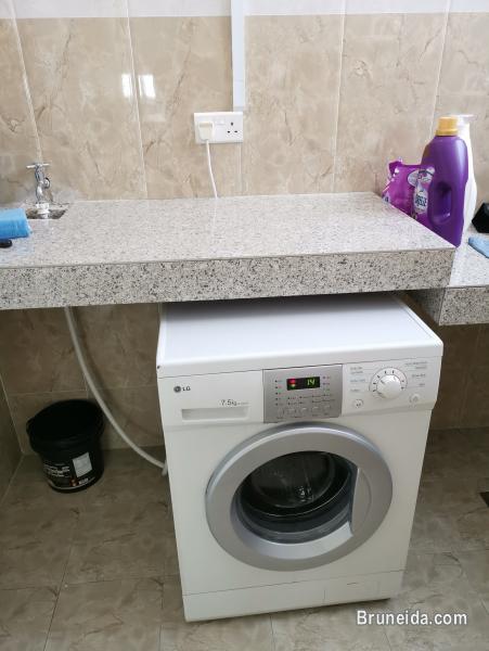 Single room for female (own bathroom and toilet) - image 1