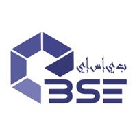 Logo of BSE Automotive Services