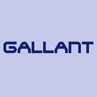 Logo of Gallant Sdn Bhd